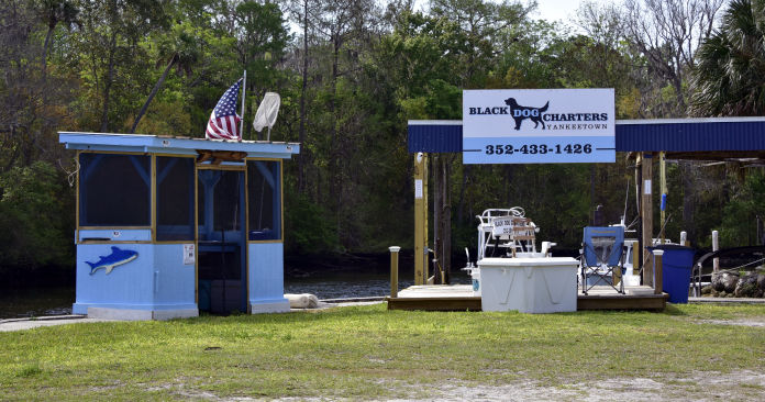 Black Dog Charters Yankeetown