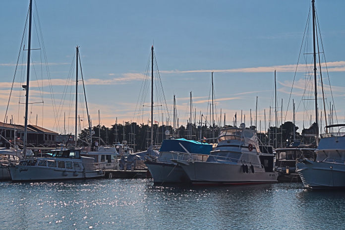 Adams Marine Seminars