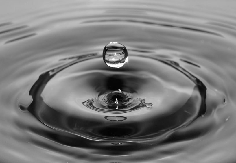 Nature Coast Water, Inc. 